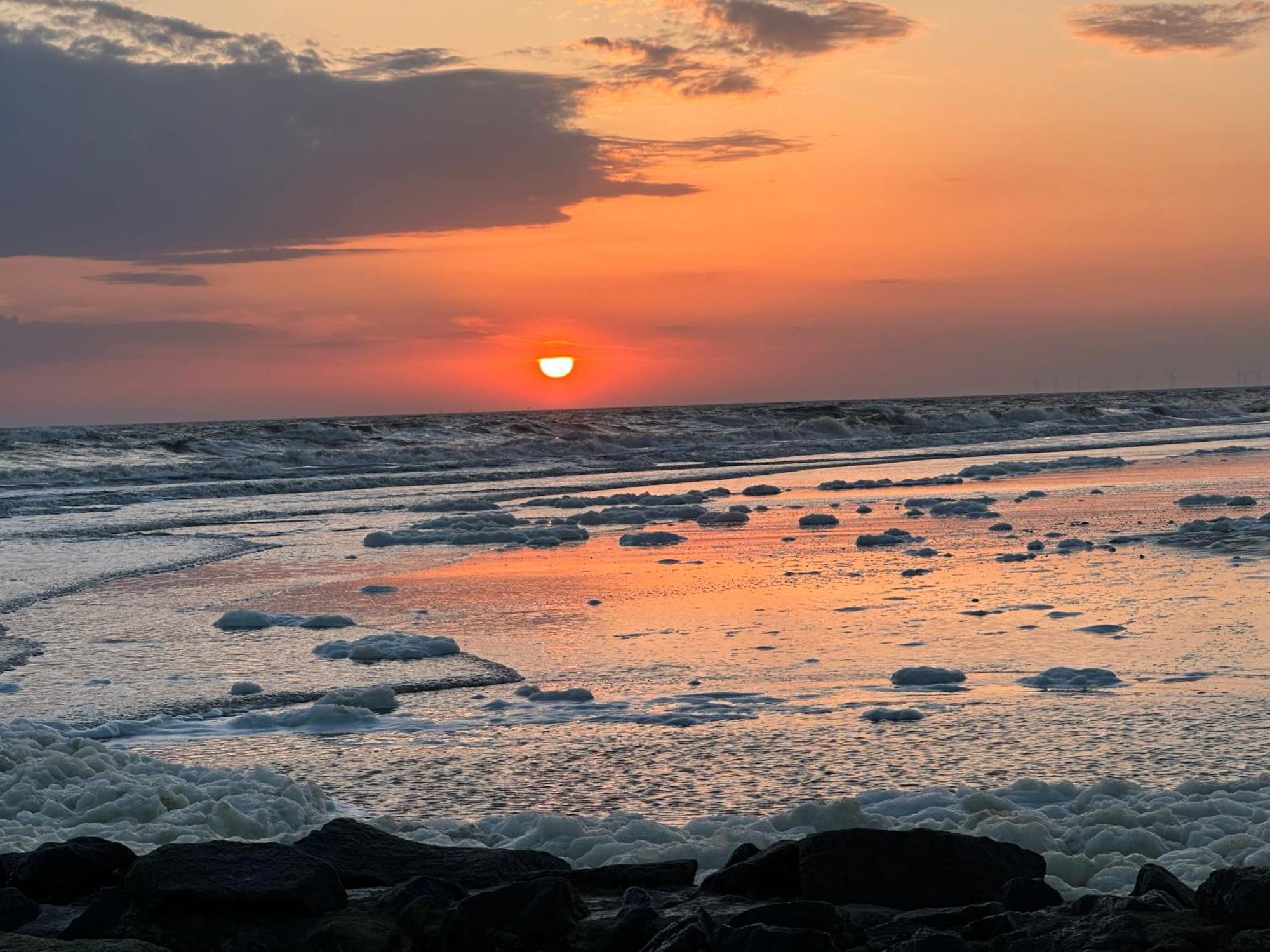 Wangerrose - Familienwohnung Fuer Gross Und Klein Und Hundefreunde Wangerooge Esterno foto